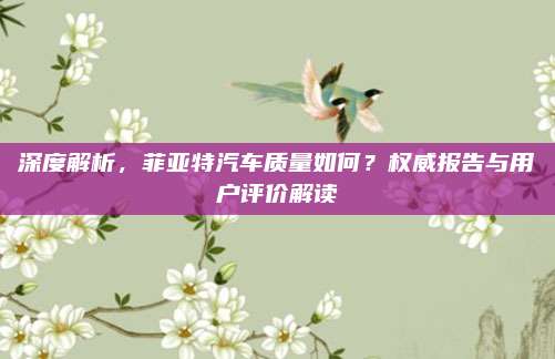 深度解析,菲亚特汽车质量如何?权威报告与用户评价解读