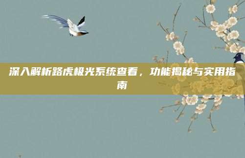 深入解析路虎极光系统查看,功能揭秘与实用指南
