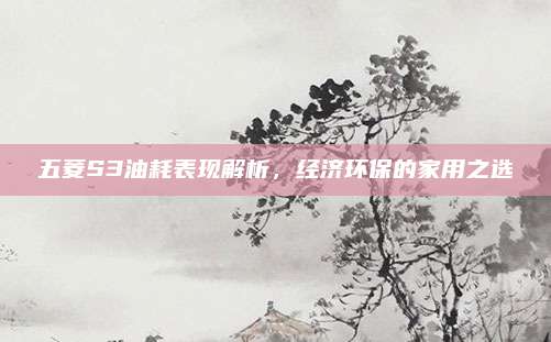 五菱S3油耗表现解析,经济环保的家用之选