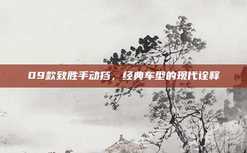 09款致胜手动挡,经典车型的现代诠释