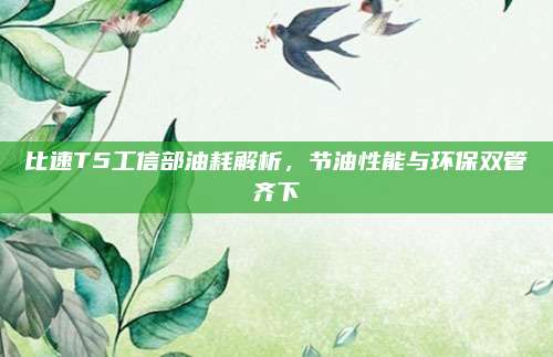 比速T5工信部油耗解析,节油性能与环保双管齐下