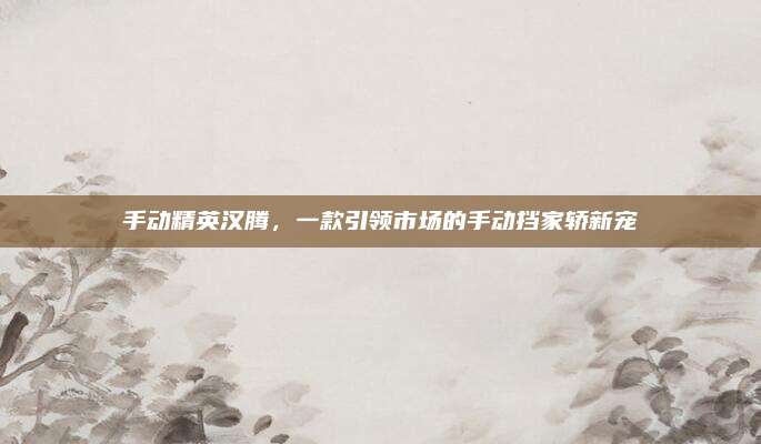 手动精英汉腾,一款引领市场的手动挡家轿新宠