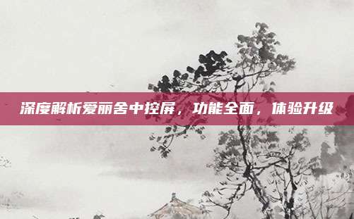 深度解析爱丽舍中控屏,功能全面,体验升级