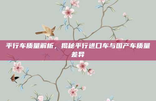 平行车质量解析,揭秘平行进口车与国产车质量差异