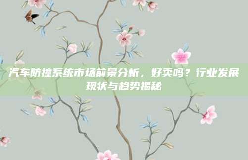 汽车防撞系统市场前景分析,好卖吗?行业发展现状与趋势揭秘