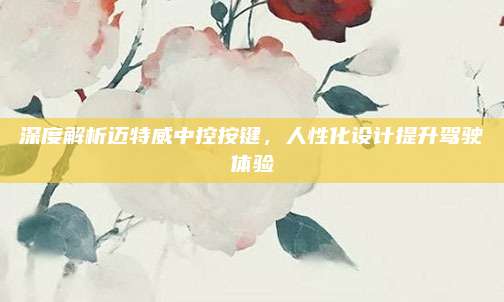 深度解析迈特威中控按键,人性化设计提升驾驶体验