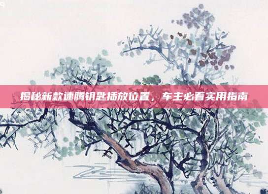揭秘新款速腾钥匙插放位置，车主必看实用指南