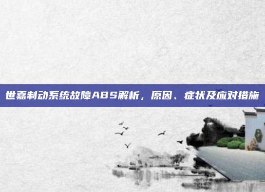 世嘉制动系统故障ABS解析,原因、症状及应对措施