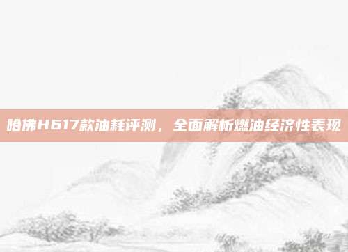 哈佛H617款油耗评测,全面解析燃油经济性表现