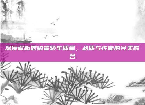 深度解析思铂睿轿车质量,品质与性能的完美融合