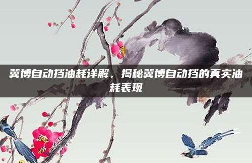 冀博自动挡油耗详解,揭秘冀博自动挡的真实油耗表现