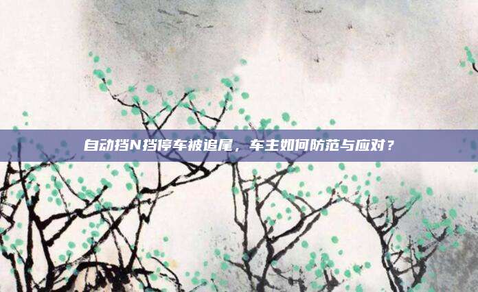 自动挡N挡停车被追尾,车主如何防范与应对?