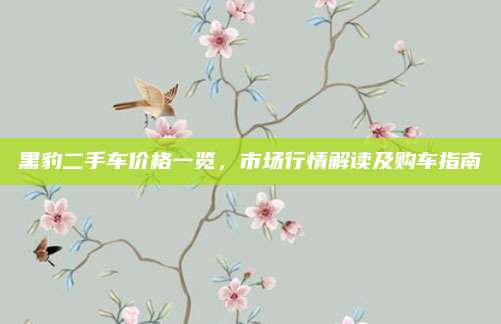 黑豹二手车价格一览,市场行情解读及购车指南