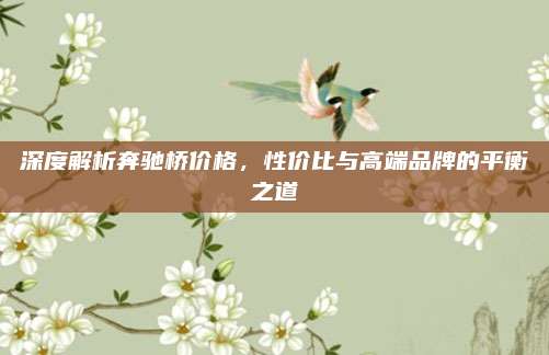 深度解析奔驰桥价格,性价比与高端品牌的平衡之道