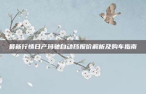 最新行情日产玛驰自动挡报价解析及购车指南