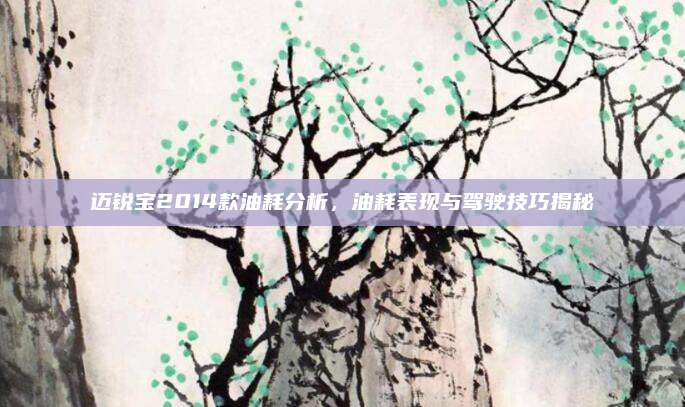 迈锐宝2014款油耗分析,油耗表现与驾驶技巧揭秘