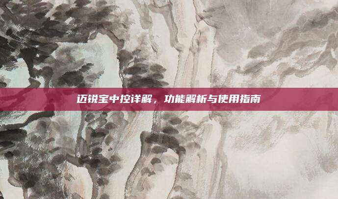 迈锐宝中控详解,功能解析与使用指南