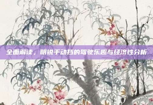 全面解读,明锐手动挡的驾驶乐趣与经济性分析