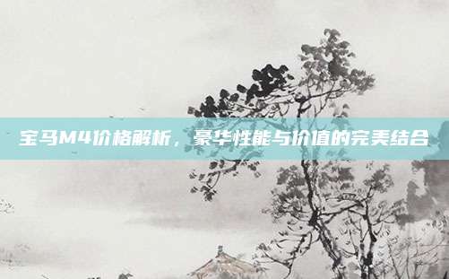 宝马M4价格解析,豪华性能与价值的完美结合