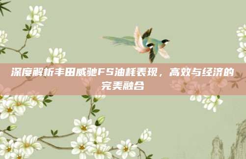 深度解析丰田威驰FS油耗表现,高效与经济的完美融合