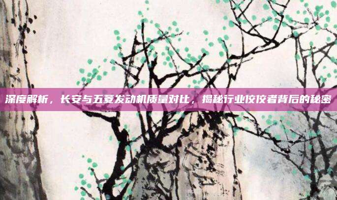 深度解析,长安与五菱发动机质量对比,揭秘行业佼佼者背后的秘密