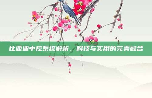 比亚迪中控系统解析,科技与实用的完美融合