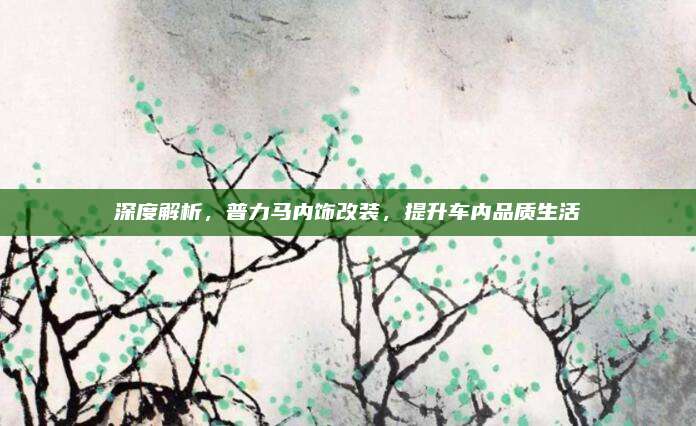 深度解析,普力马内饰改装,提升车内品质生活