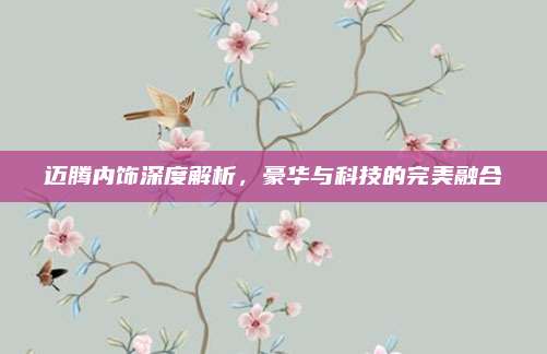 迈腾内饰深度解析,豪华与科技的完美融合