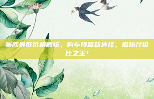赛欧最低价格解析,购车预算新选择,揭秘性价比之王!