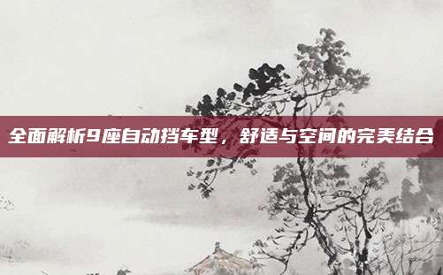 全面解析9座自动挡车型,舒适与空间的完美结合