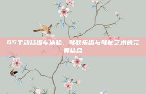 Q5手动挡提车体验,驾驭乐趣与驾驶艺术的完美结合