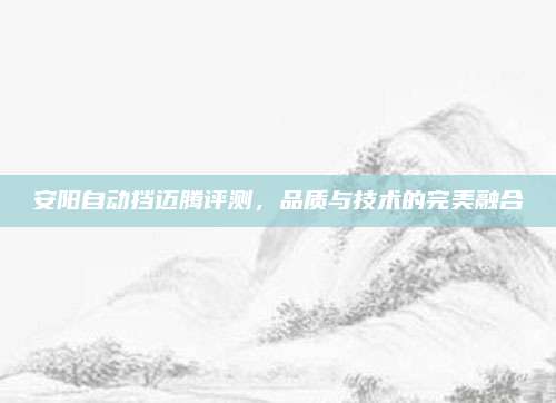 安阳自动挡迈腾评测,品质与技术的完美融合
