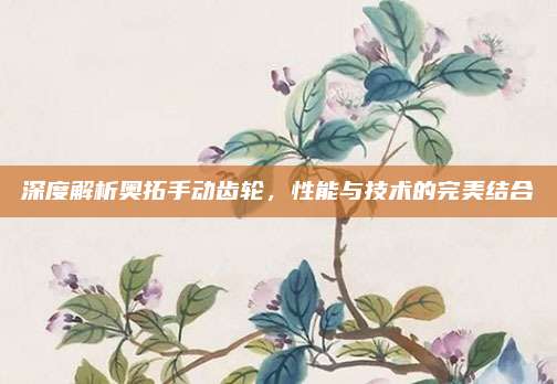 深度解析奥拓手动齿轮,性能与技术的完美结合