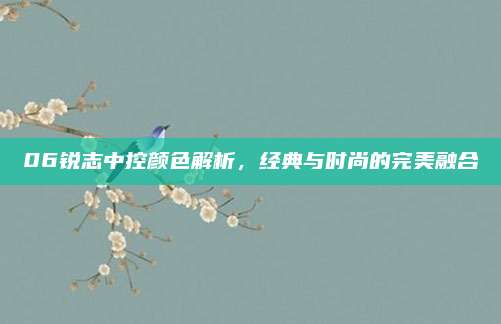06锐志中控颜色解析,经典与时尚的完美融合