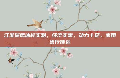江淮瑞鹰油耗实测，经济实惠，动力十足，家用出行佳选