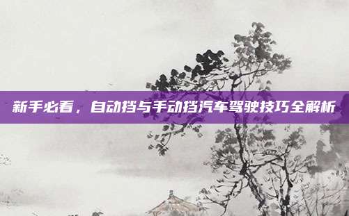 新手必看,自动挡与手动挡汽车驾驶技巧全解析