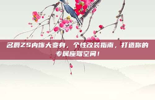 名爵ZS内饰大变身,个性改装指南,打造你的专属座驾空间!