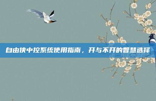 自由侠中控系统使用指南,开与不开的智慧选择