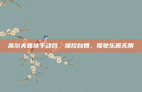 高尔夫嘉旅手动挡，操控自如，驾驶乐趣无限