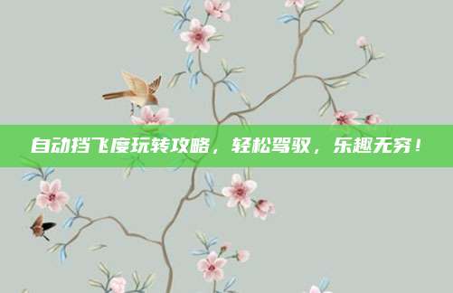 自动挡飞度玩转攻略，轻松驾驭，乐趣无穷！