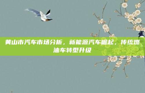 黄山市汽车市场分析,新能源汽车崛起,传统燃油车转型升级