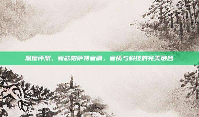 深度评测,新款帕萨特音响,音质与科技的完美融合