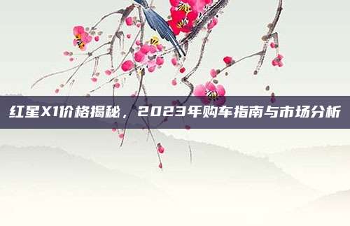 红星X1价格揭秘，2023年购车指南与市场分析