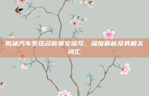 揭秘汽车系统名称英文缩写,深度解析及其相关词汇