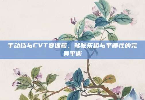手动挡与CVT变速箱,驾驶乐趣与平顺性的完美平衡