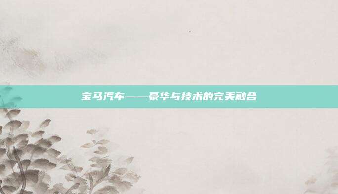 宝马汽车——豪华与技术的完美融合