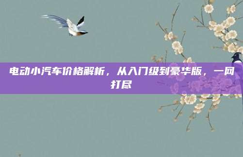 电动小汽车价格解析,从入门级到豪华版,一网打尽