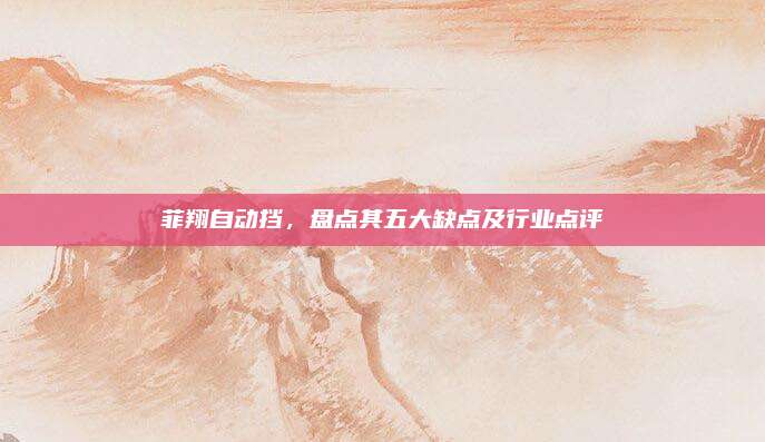 菲翔自动挡,盘点其五大缺点及行业点评