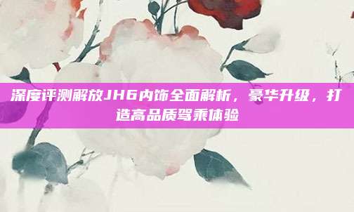 深度评测解放JH6内饰全面解析,豪华升级,打造高品质驾乘体验