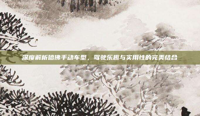深度解析哈佛手动车型,驾驶乐趣与实用性的完美结合